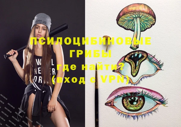 прущая мука Жердевка