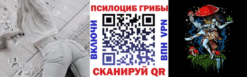 Галлюциногенные грибы MAGIC MUSHROOMS  купить закладку  Яровое 